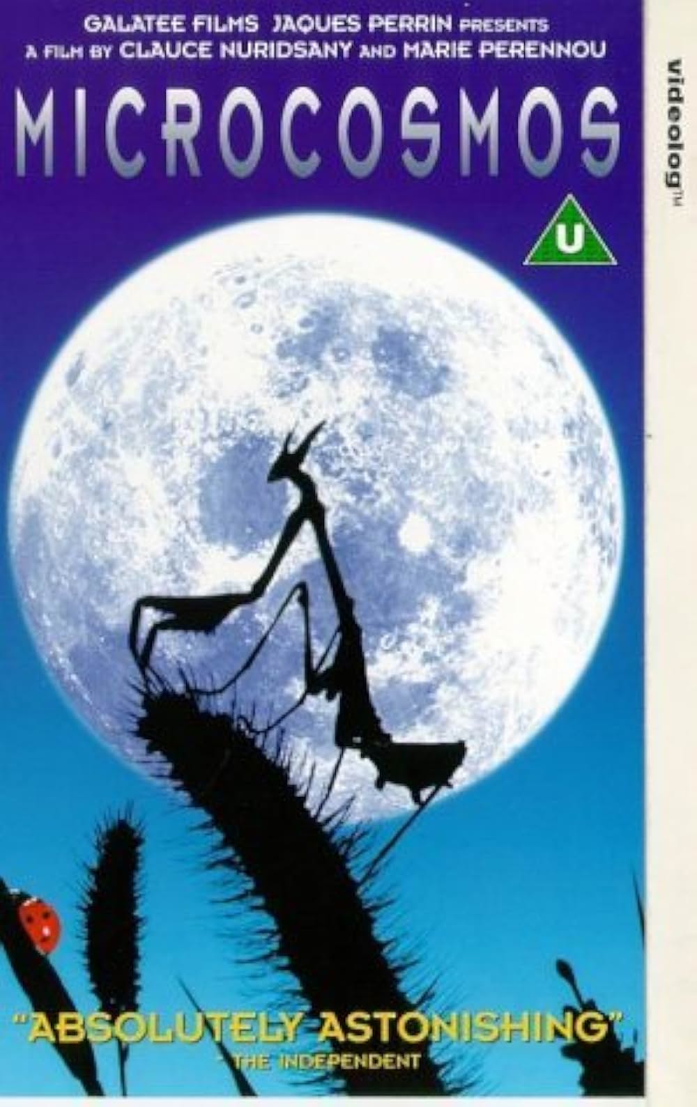 ミクロコスモスの画像