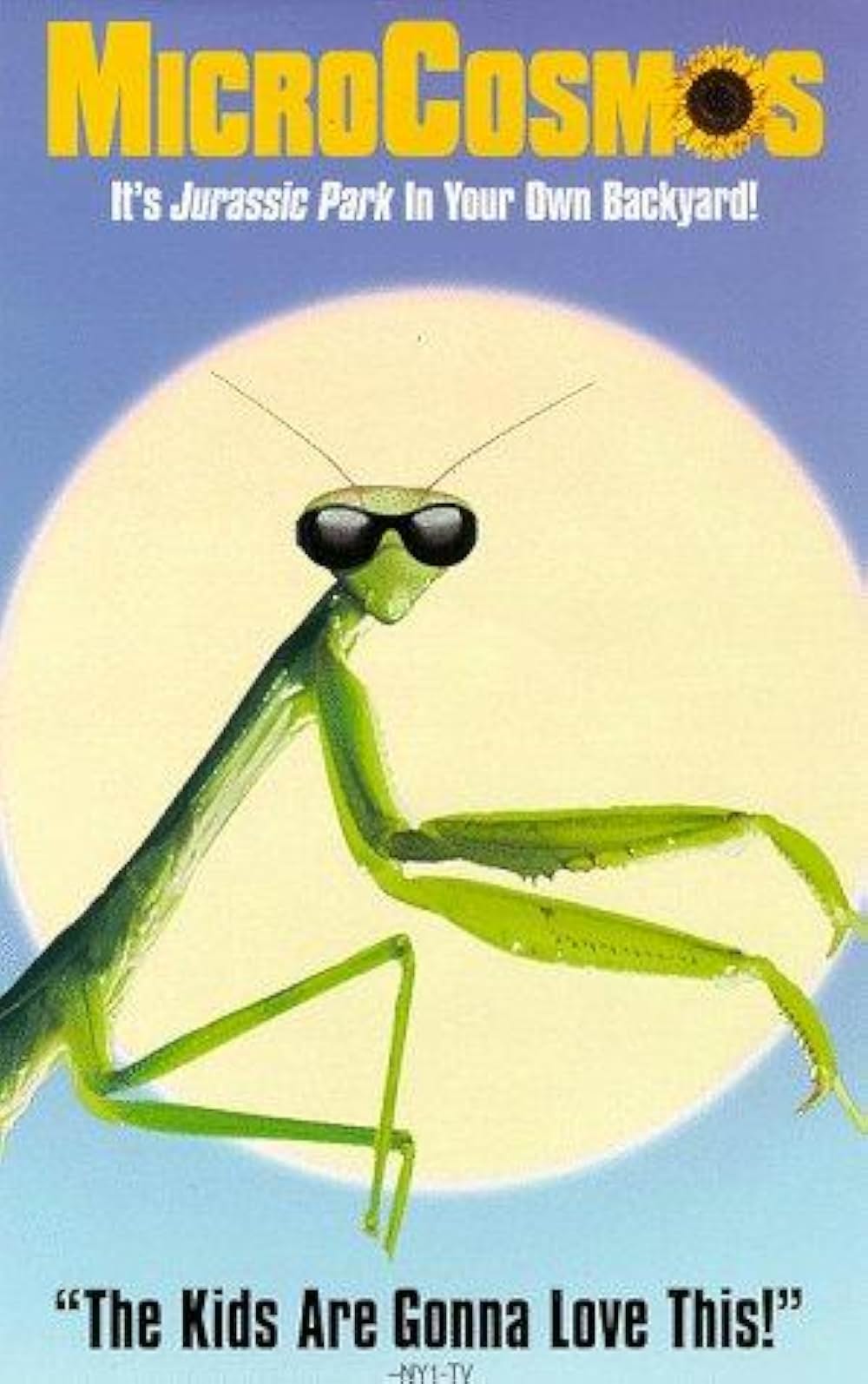 ミクロコスモスの画像