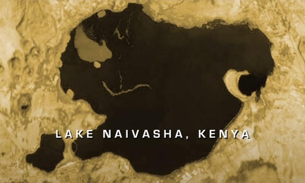 ブルー・ゴールド 狙われた水の真実の画像