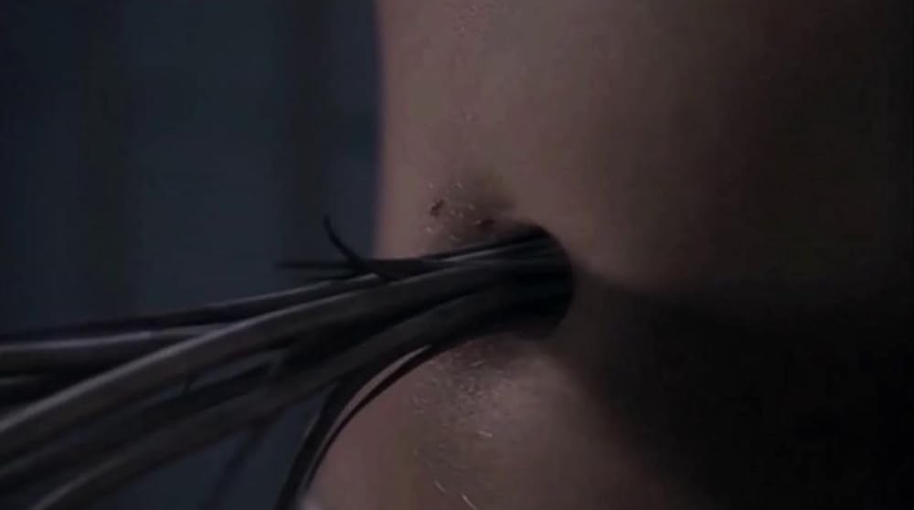 スコージ 災いをもたらす獣の画像