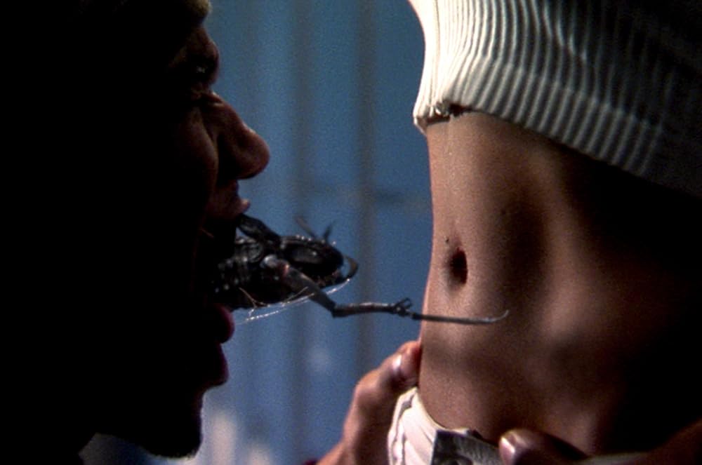 スコージ 災いをもたらす獣の画像