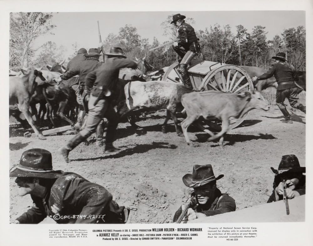 アルバレス・ケリーの画像