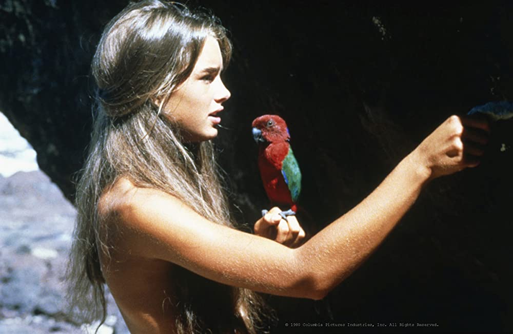 青い珊瑚礁の画像