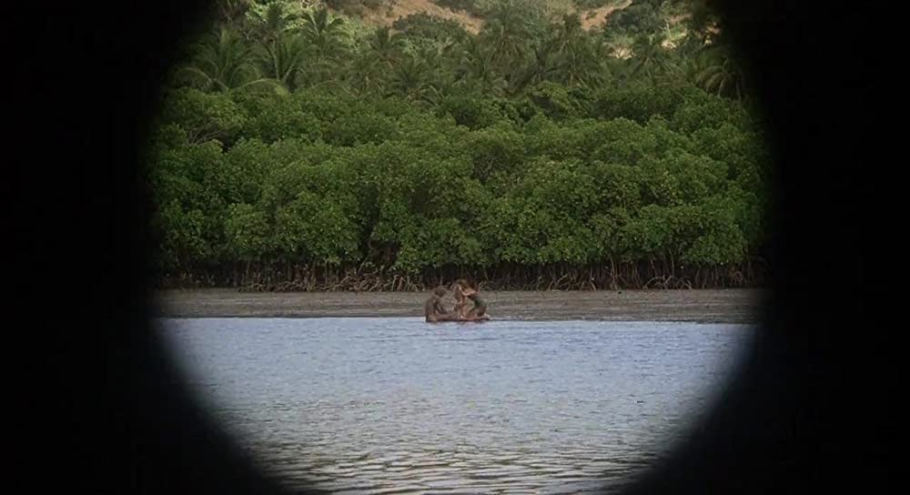 青い珊瑚礁の画像