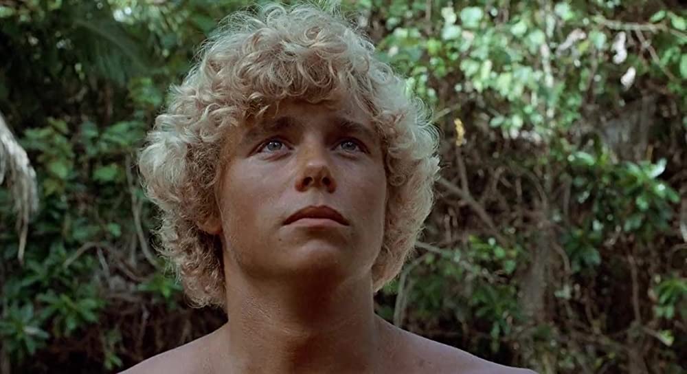 青い珊瑚礁の画像