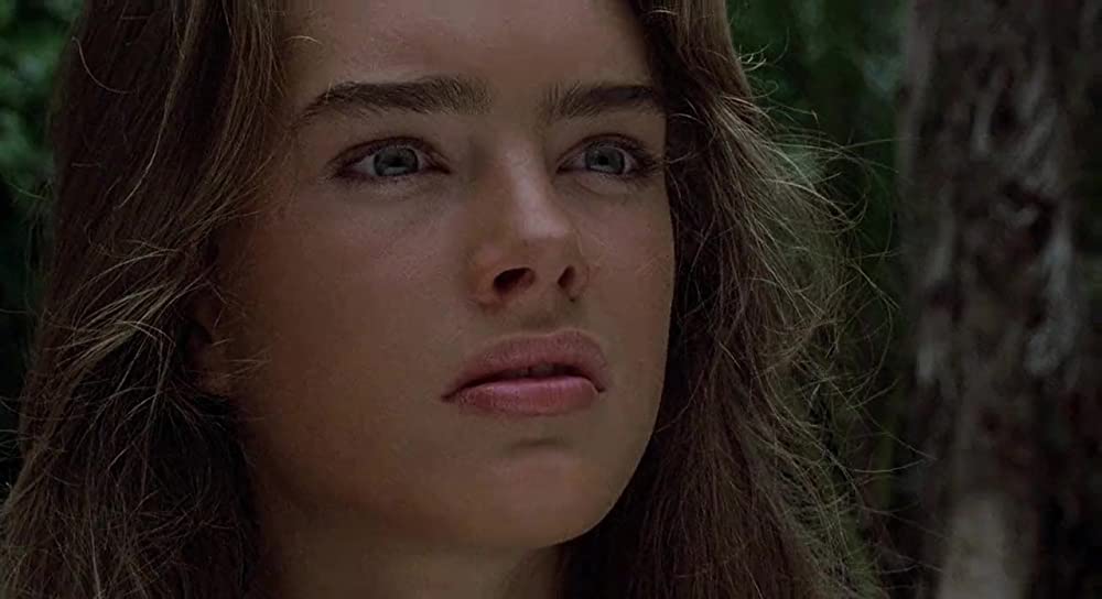 青い珊瑚礁の画像