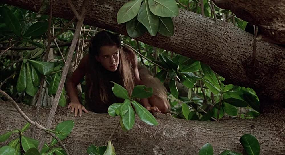 青い珊瑚礁の画像