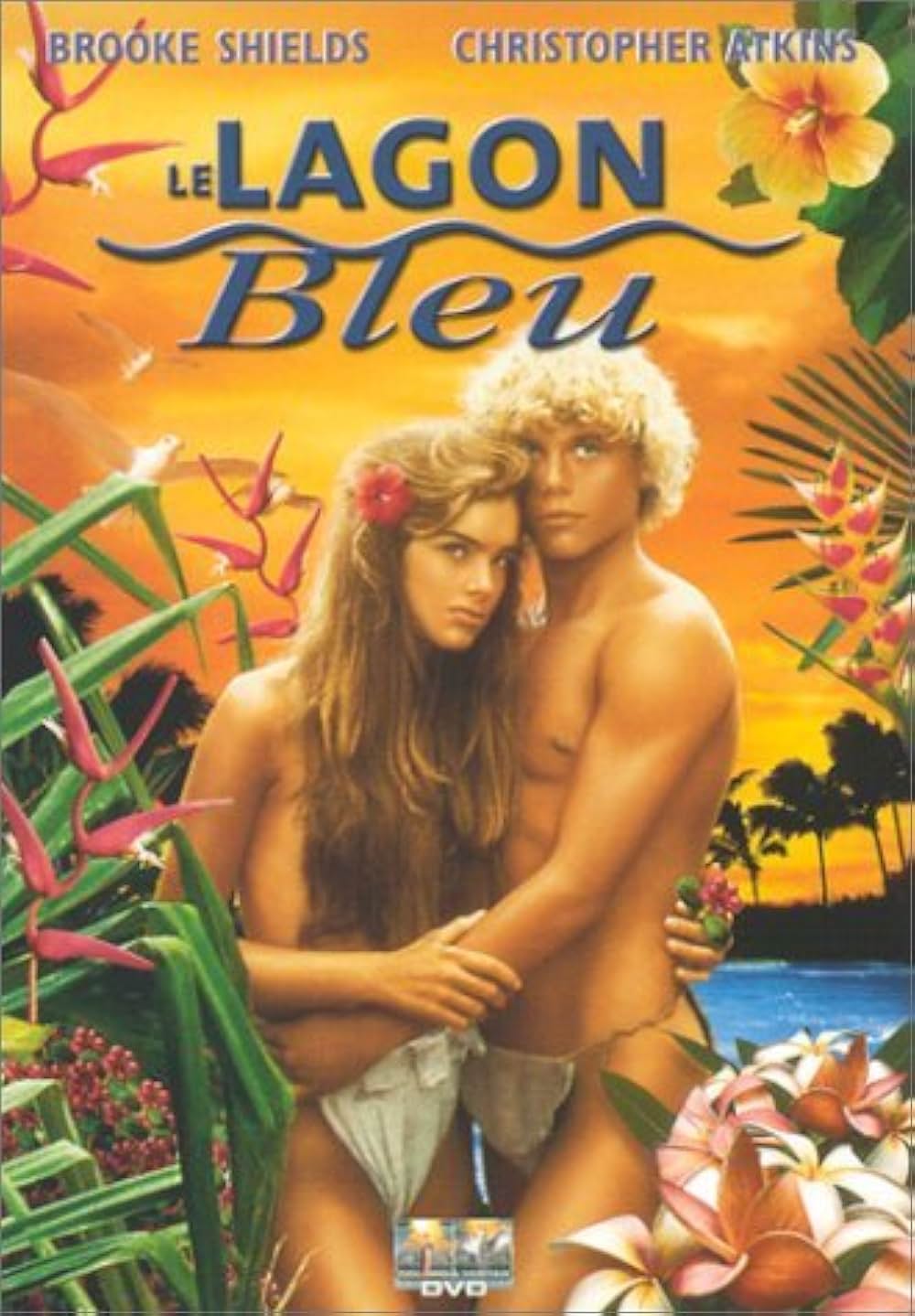 青い珊瑚礁の画像