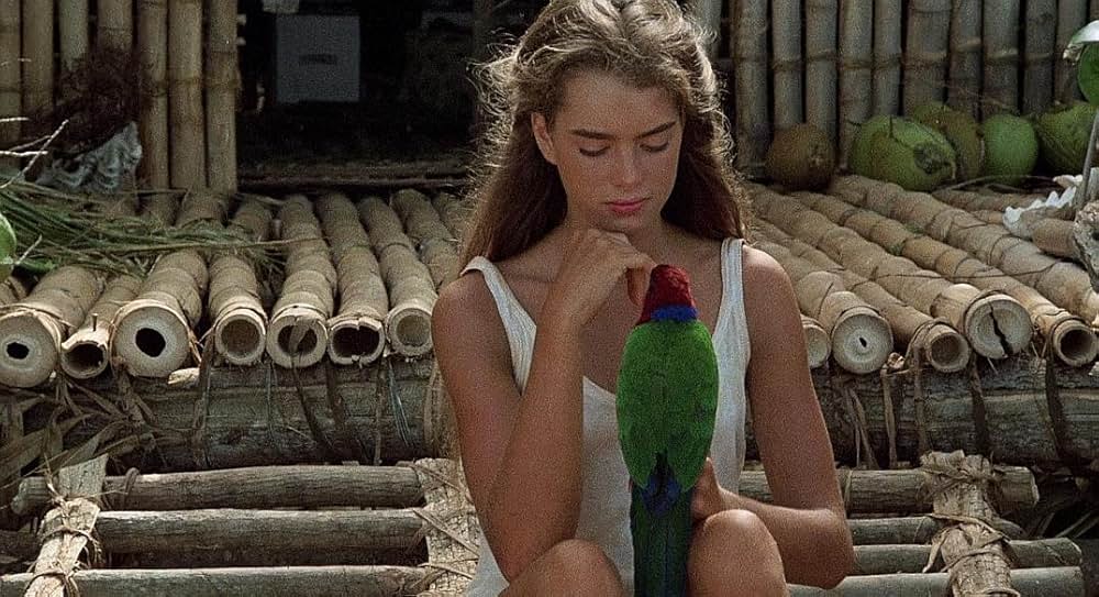 青い珊瑚礁の画像