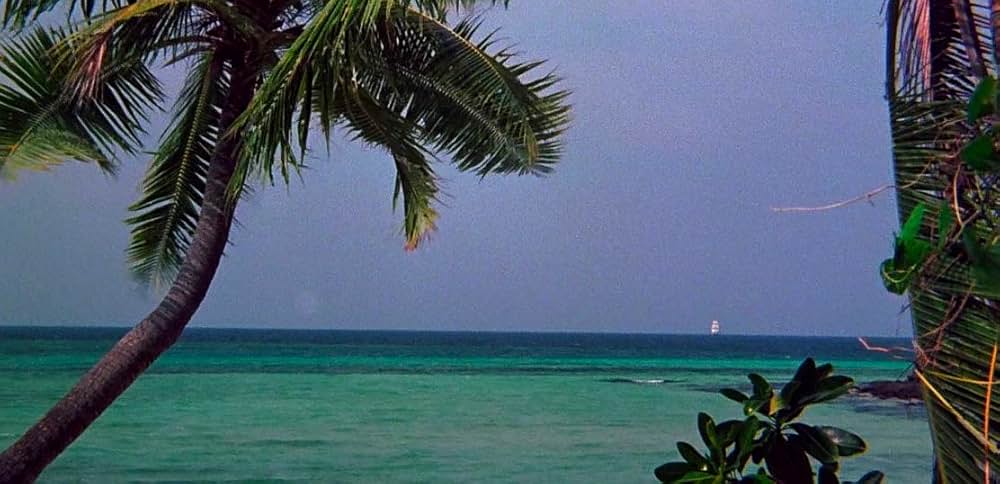 青い珊瑚礁の画像