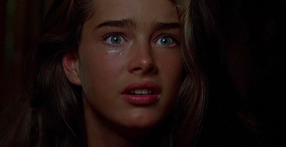 青い珊瑚礁の画像