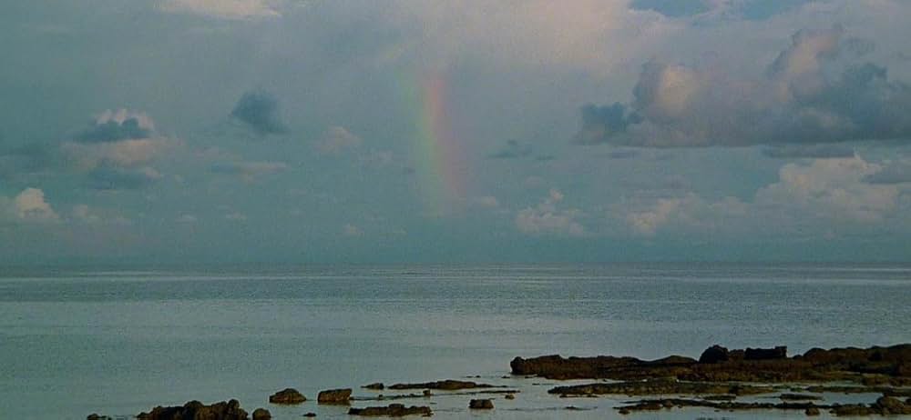 青い珊瑚礁の画像