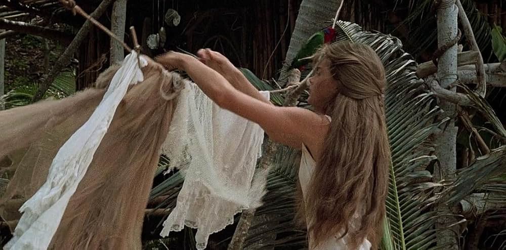 青い珊瑚礁の画像