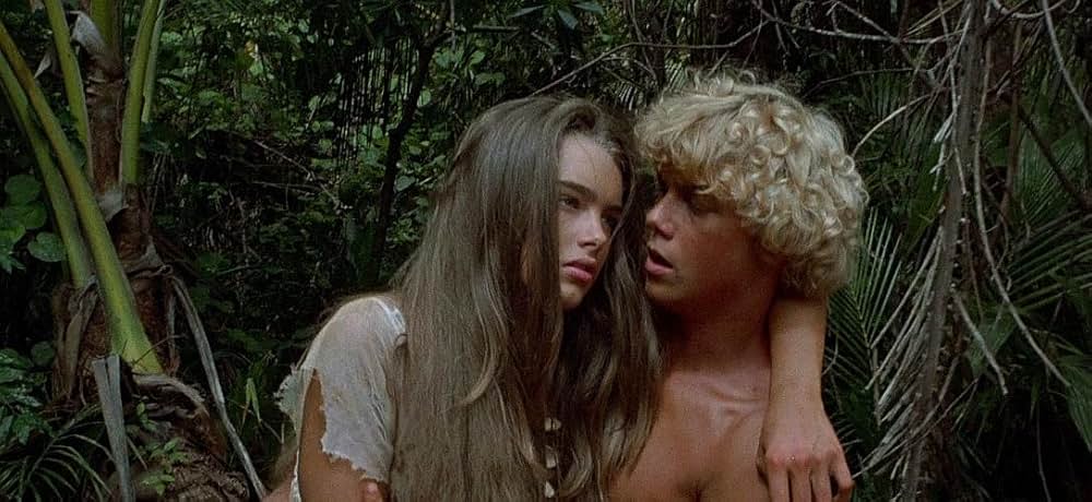 青い珊瑚礁の画像