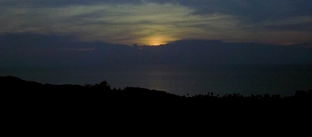 青い珊瑚礁の画像