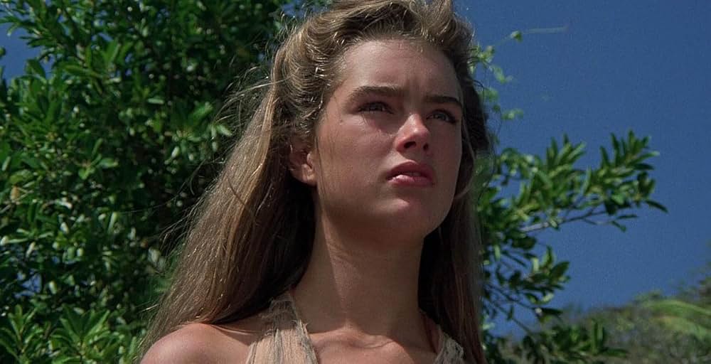 青い珊瑚礁の画像