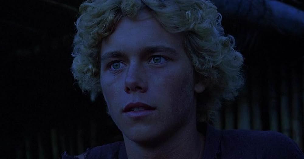 青い珊瑚礁の画像