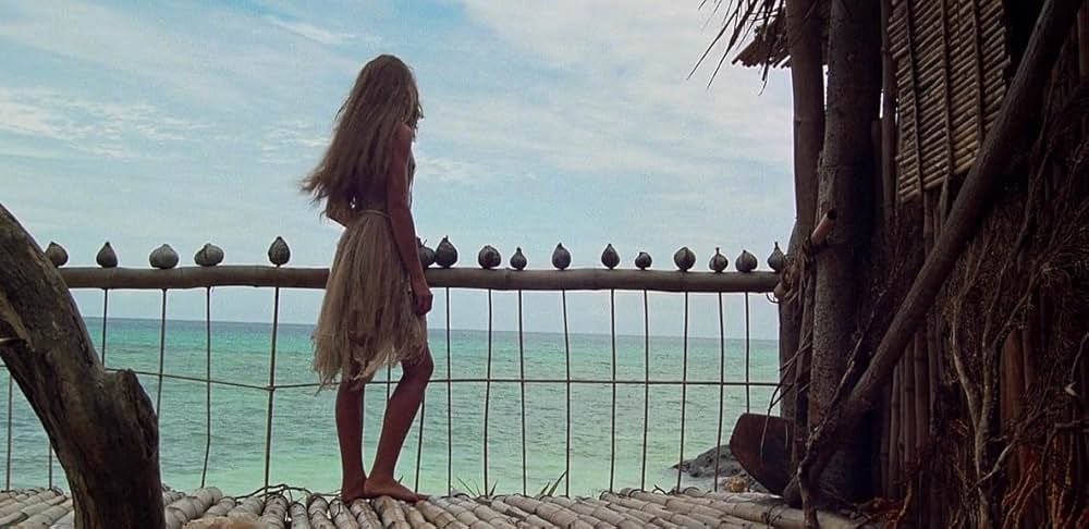 青い珊瑚礁の画像