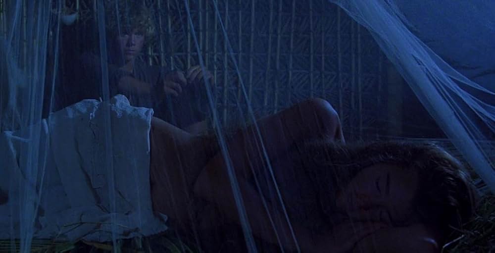 青い珊瑚礁の画像