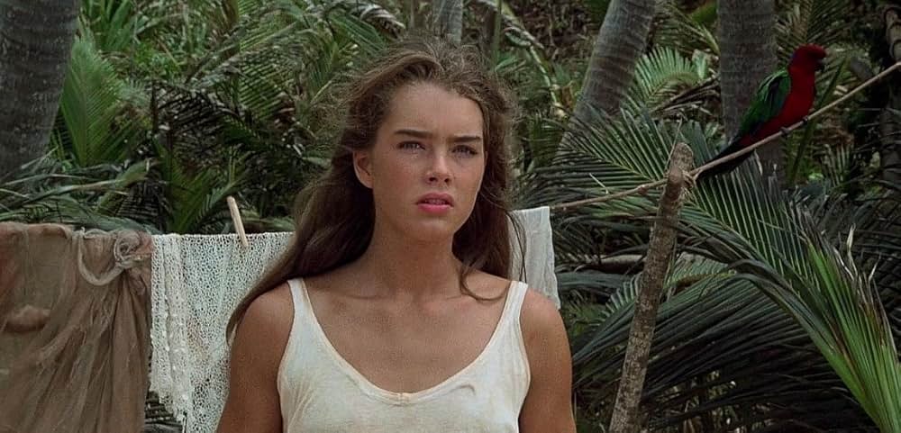 青い珊瑚礁の画像