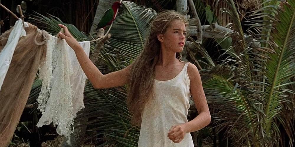 青い珊瑚礁の画像