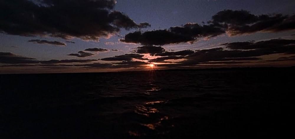 青い珊瑚礁の画像