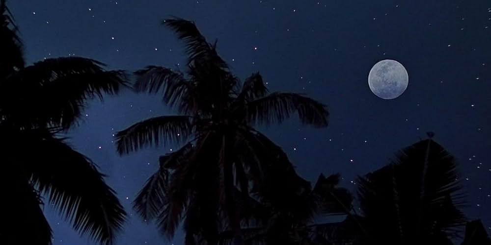 青い珊瑚礁の画像