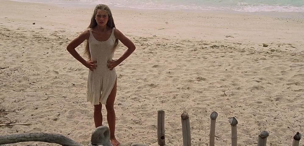 青い珊瑚礁の画像