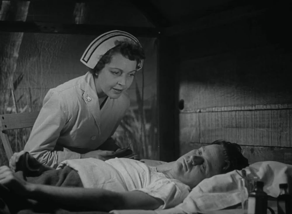 夜のストレンジャーの画像