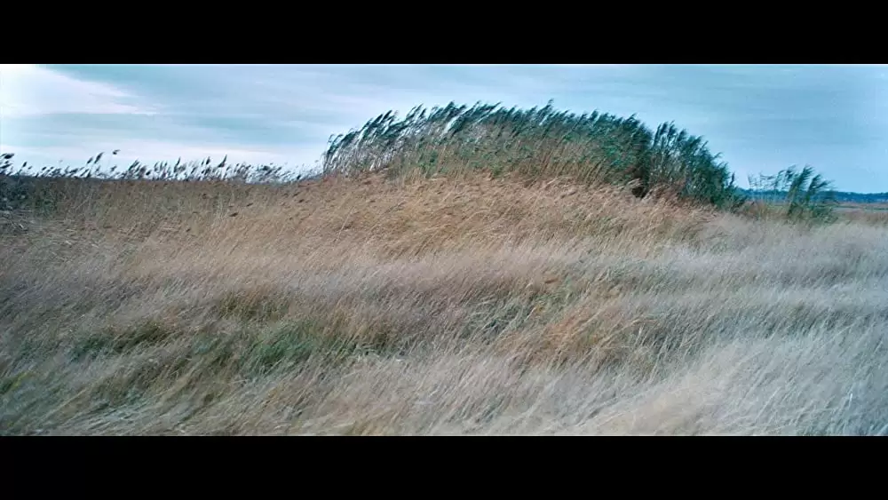 永遠の門 ゴッホの見た未来の画像