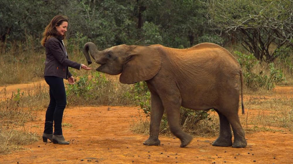 ホリデイ・イン・ザ・ワイルドの画像