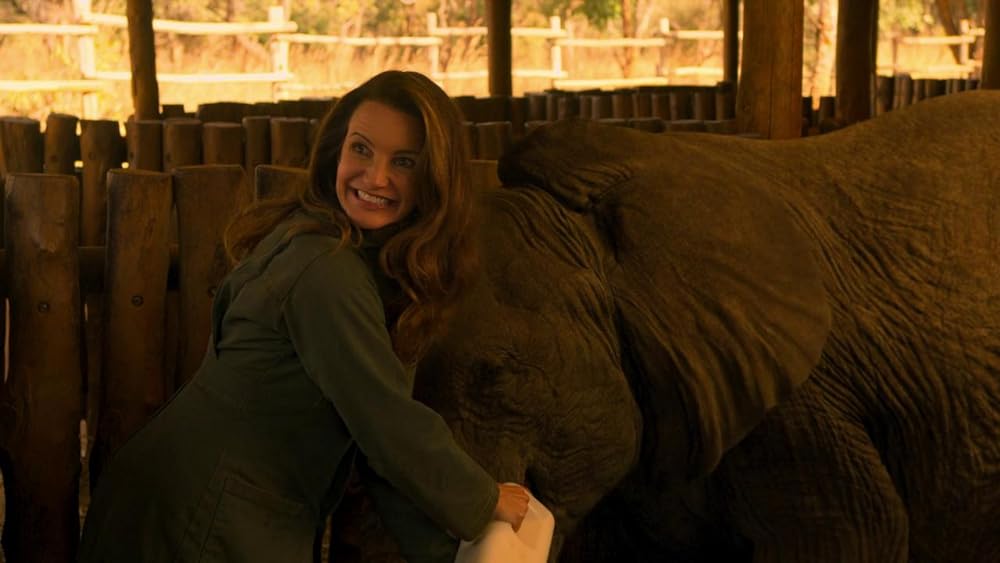 ホリデイ・イン・ザ・ワイルドの画像