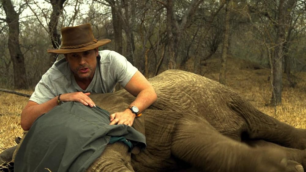 ホリデイ・イン・ザ・ワイルドの画像