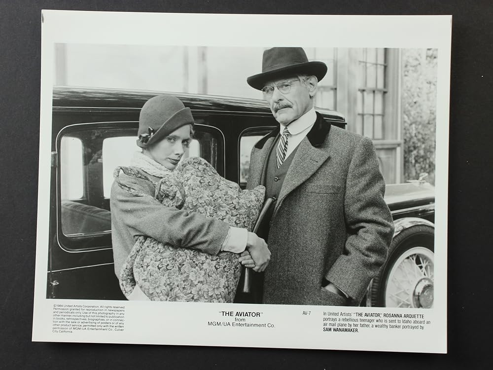 アビエーターの画像