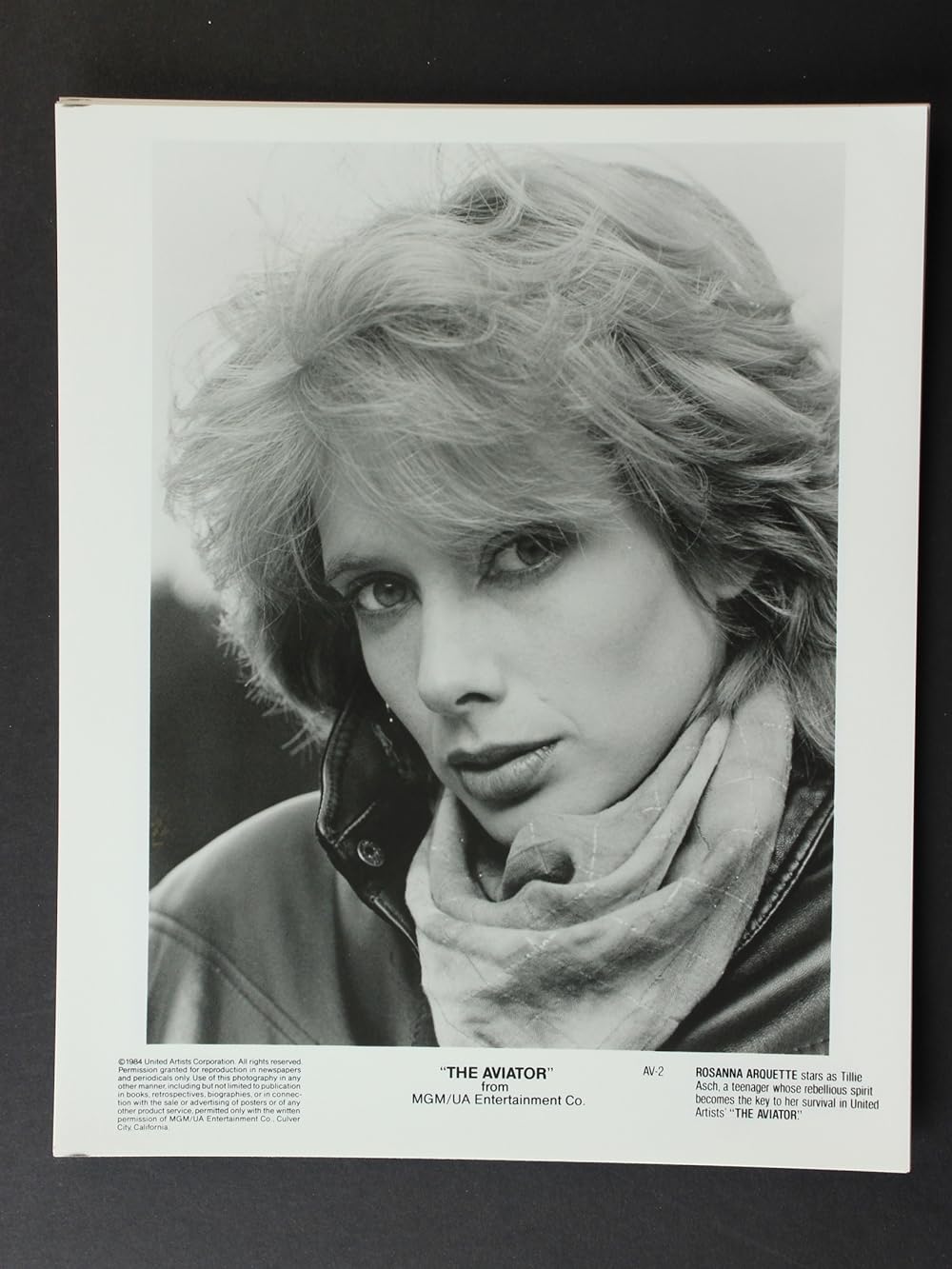 アビエーターの画像