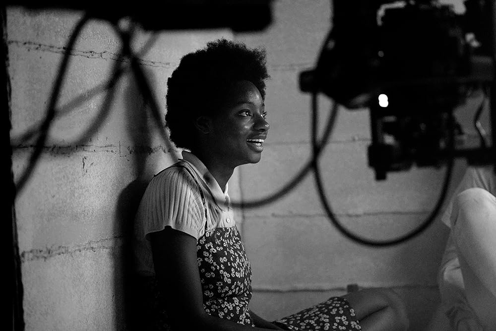 平和の木々の画像