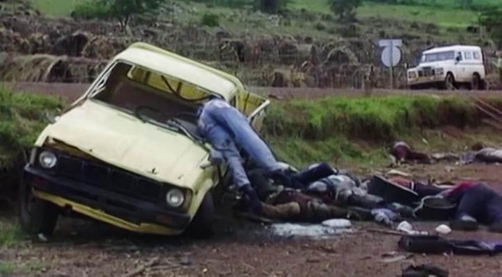 平和の木々の画像