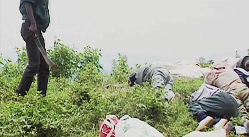 平和の木々の画像