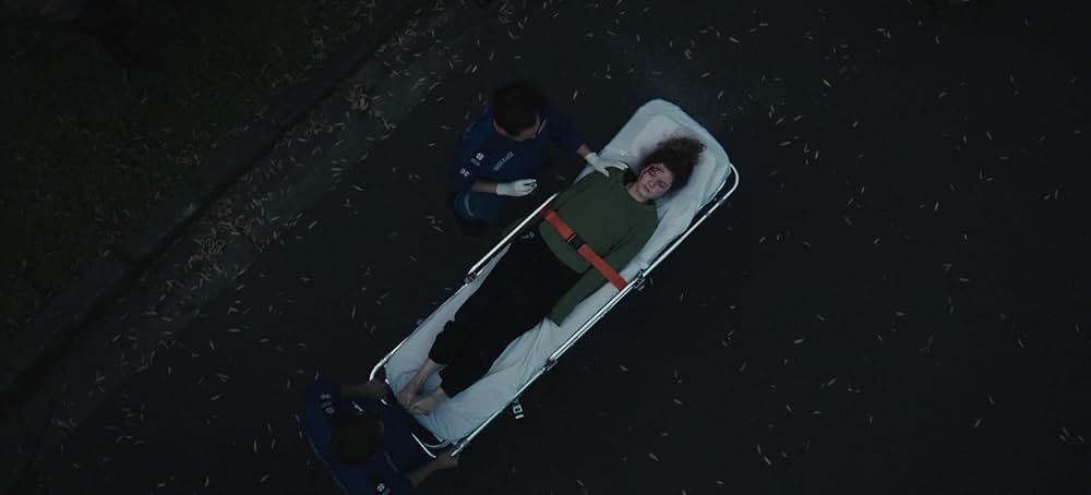 Blaze（原題）の画像