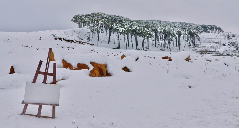 紫の家の物語の画像