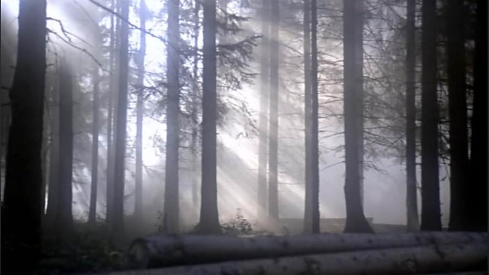 エスピオナージの画像