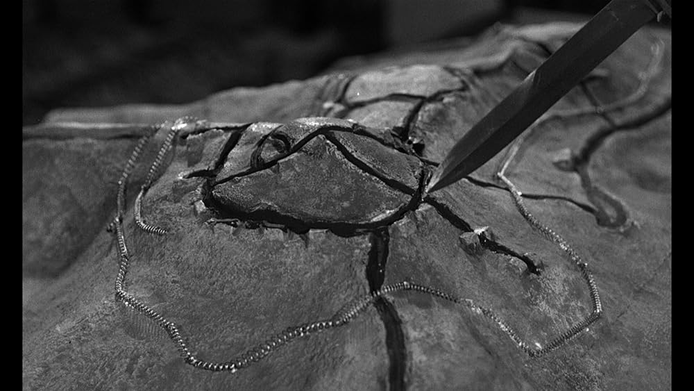 勝利なき戦いの画像