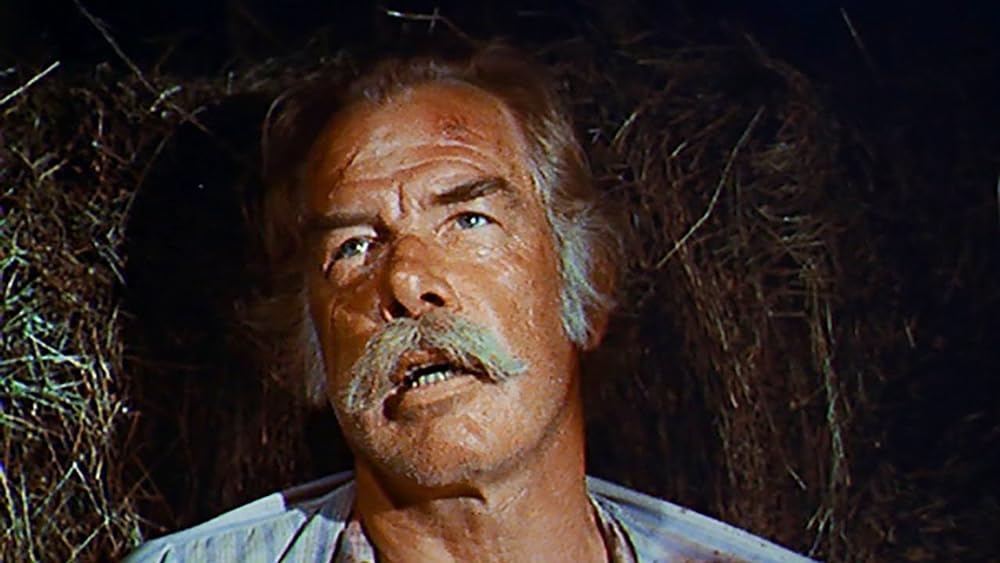 スパイクス・ギャングの画像