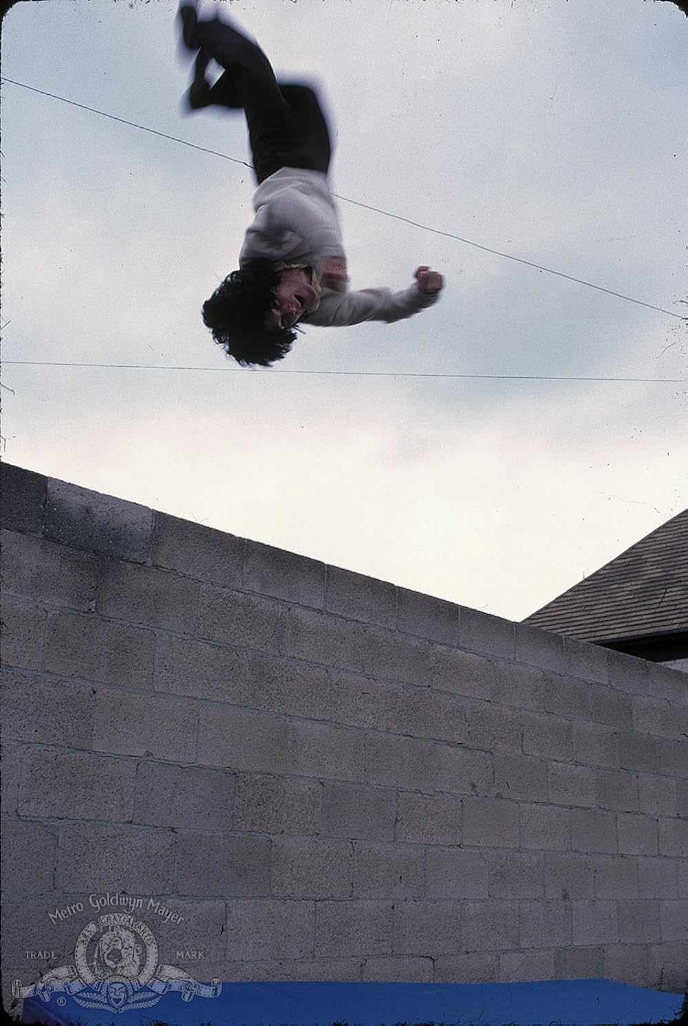 ニンジャ II・修羅ノ章の画像