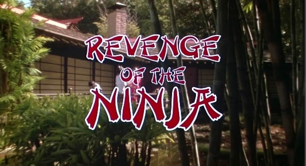 ニンジャ II・修羅ノ章の画像