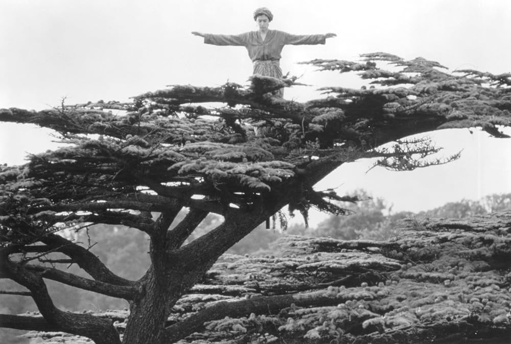 プリンセス・カラブーの画像