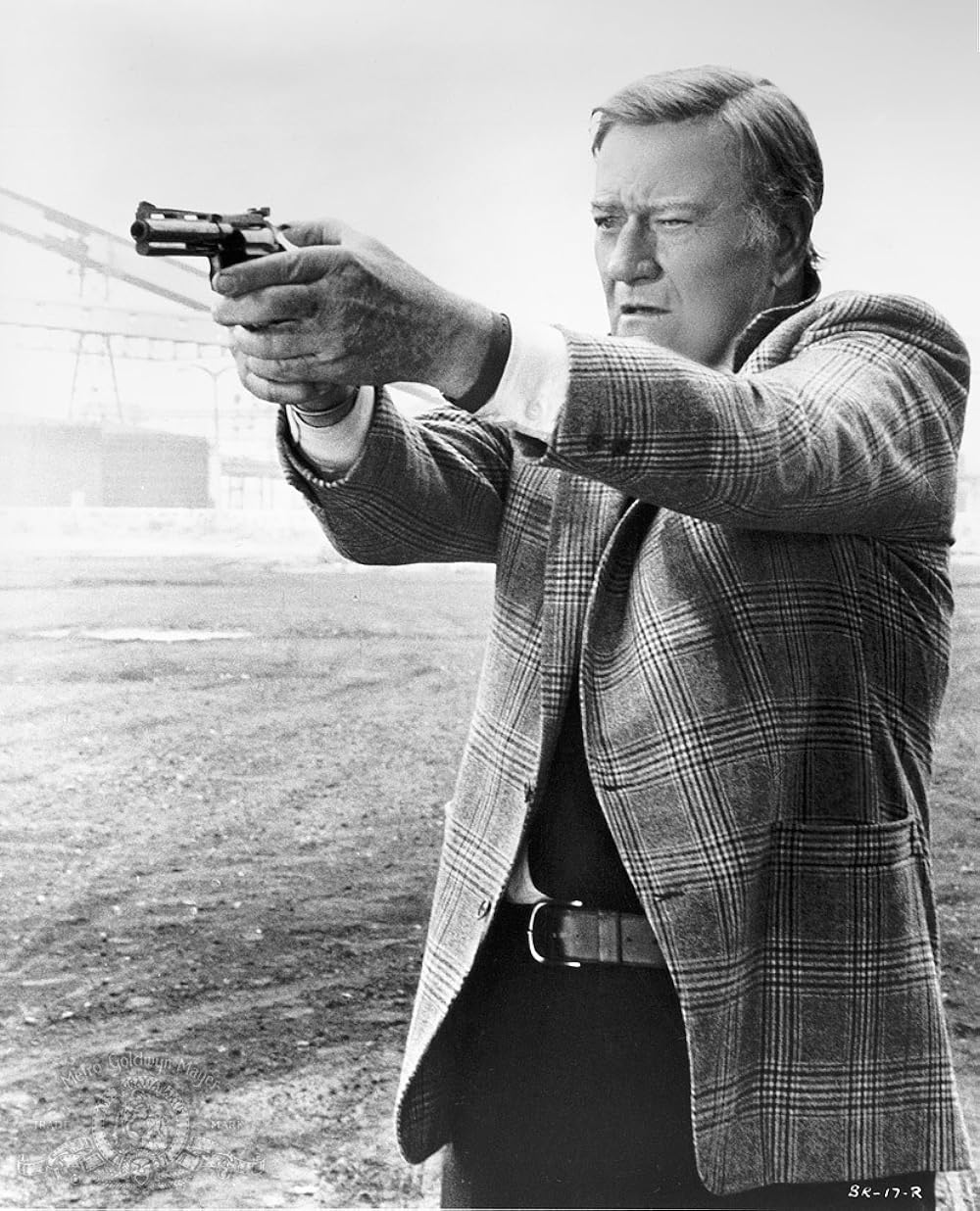 ブラニガンの画像