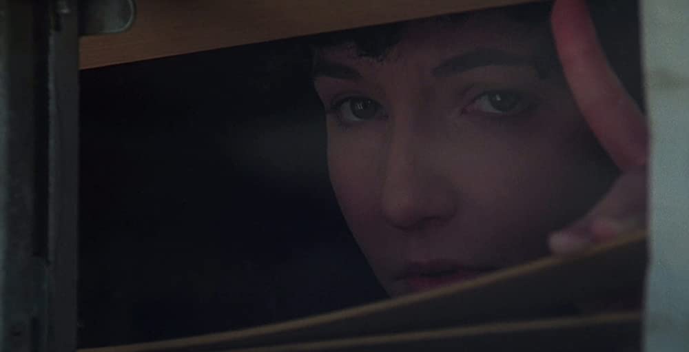 メルビンとハワードの画像