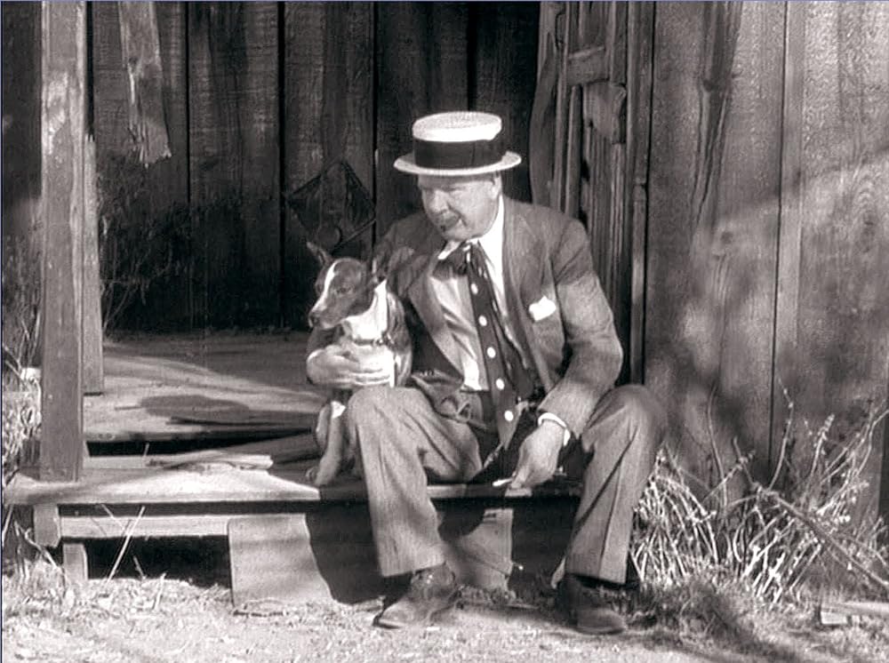 かぼちゃ大当りの画像