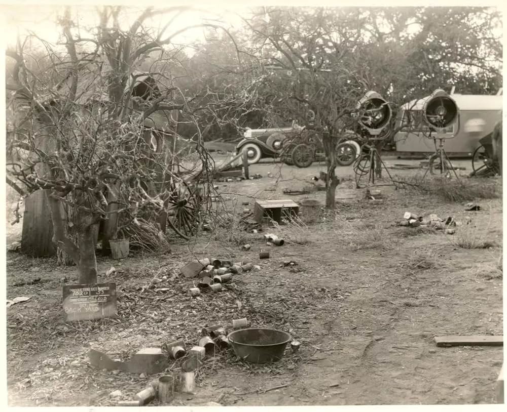 かぼちゃ大当りの画像